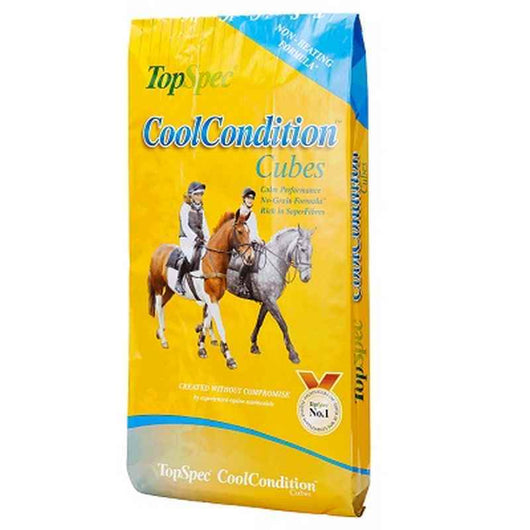 TopSpec CoolCondition Cubes 20kg TopSpec