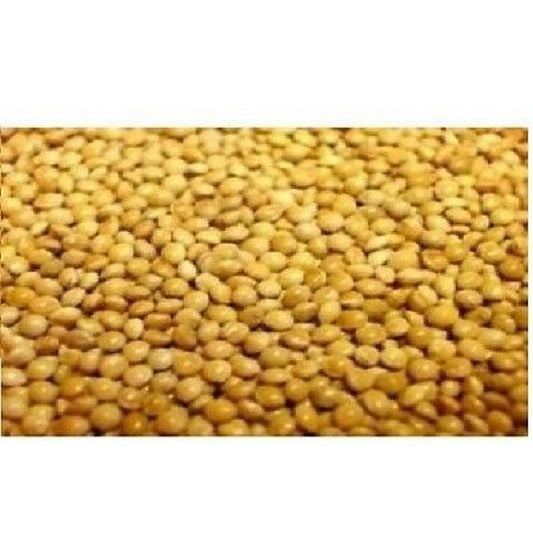 Versele Laga French Yellow Millet Seed 25kg Versele Laga