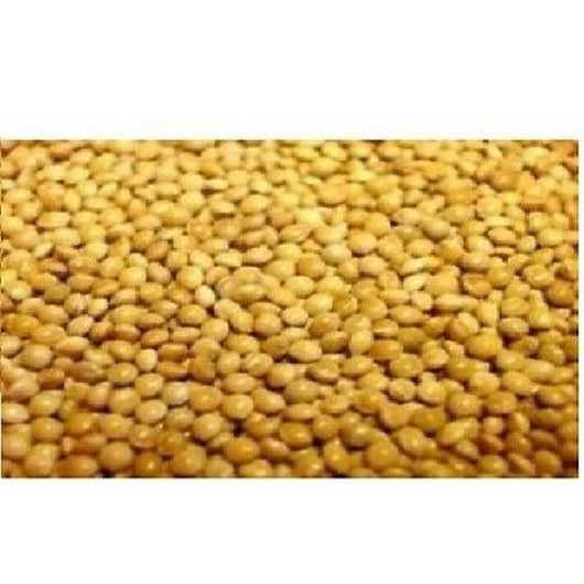 Versele Laga French Yellow Millet Seed 25kg Versele Laga