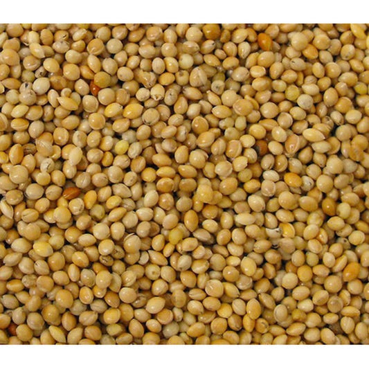 Versele Laga Yellow Millet seed 25kg Versele Laga