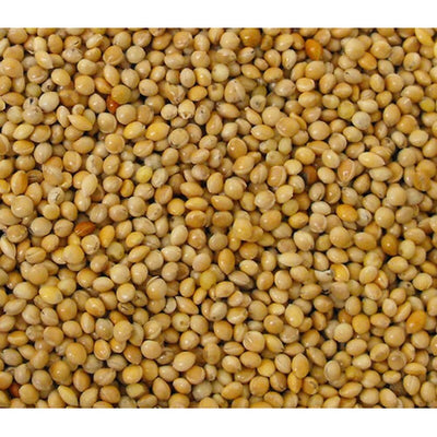 Versele Laga Yellow Millet seed 25kg Versele Laga