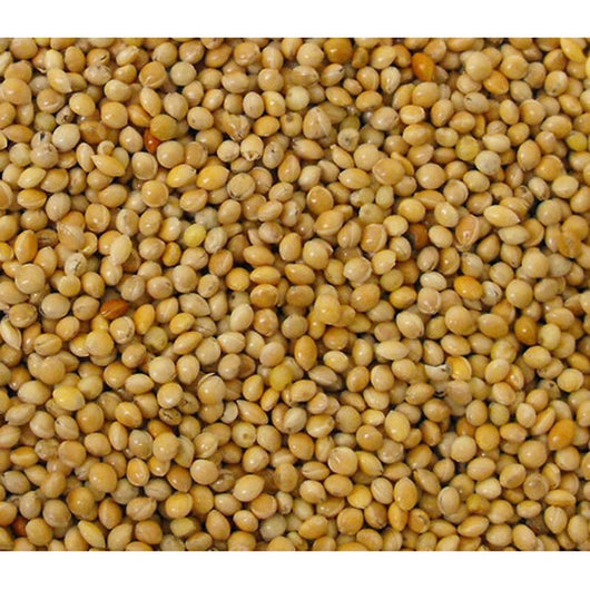 Versele Laga Yellow Millet seed 25kg Versele Laga