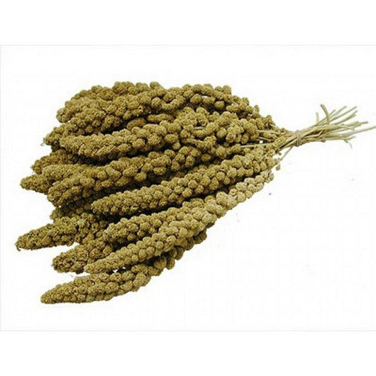Versele Laga Chinese Yellow Millet Sprays 15kg Versele Laga