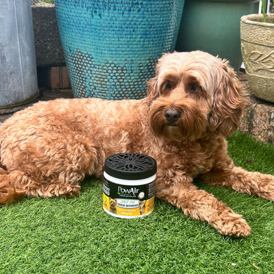 PowAir 24/7 Pet Odour Destroyer Gel 400g