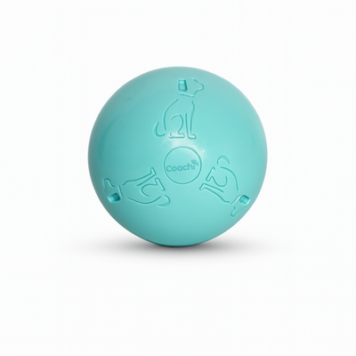 Coachi Puppy & Mini Boomi Ball, Cool Mint, 4in/10cm