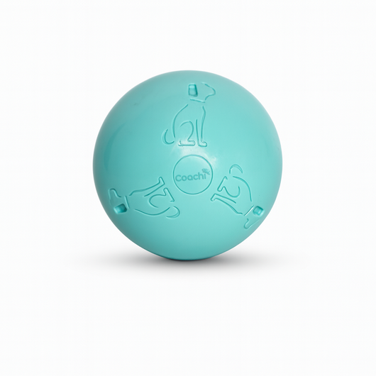 Coachi Puppy & Mini Boomi Ball, Cool Mint, 4in/10cm