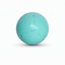 Coachi Puppy & Mini Boomi Ball, Cool Mint, 4in/10cm