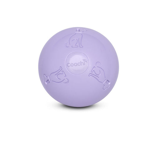 Coachi Puppy & Mini Boomi Ball, Ice Purple, 6in/15cm