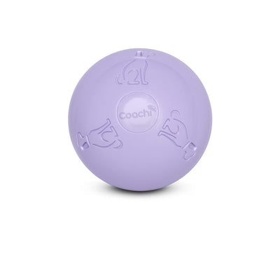 Coachi Puppy & Mini Boomi Ball, Ice Purple, 6in/15cm