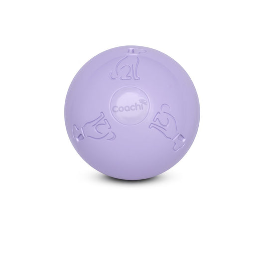 Coachi Puppy & Mini Boomi Ball, Ice Purple, 6in/15cm