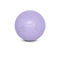 Coachi Puppy & Mini Boomi Ball, Ice Purple, 6in/15cm