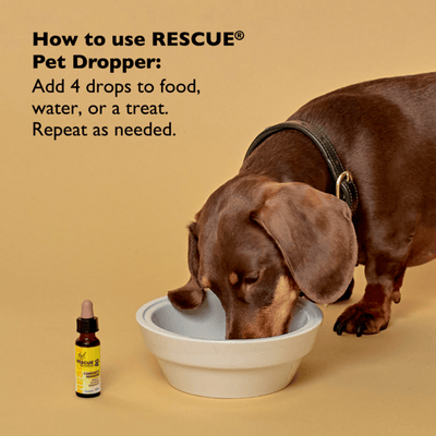 Rescue Remedy Pet Calming Dropper, 20ml