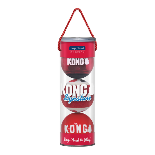 KONG Signature Balls 3-pk Assorted Lg Jan - UK9 Petcare