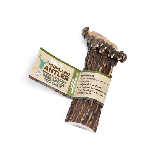 Nova Highland Split Deer Antler Dog Chew Large