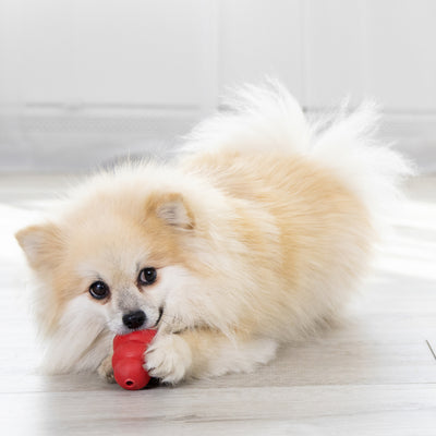 KONG Classic Small (7cm) Red — lifestyle