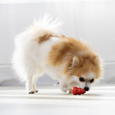 KONG Classic X-Small (5.5cm) Red — lifestyle