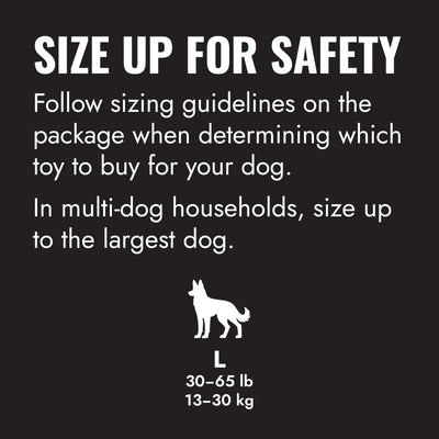 KONG Extreme Ball w/Hole Lg EU — size up for safety