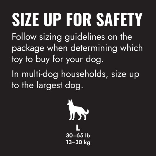 KONG Extreme Ball w/Hole Lg EU — size up for safety