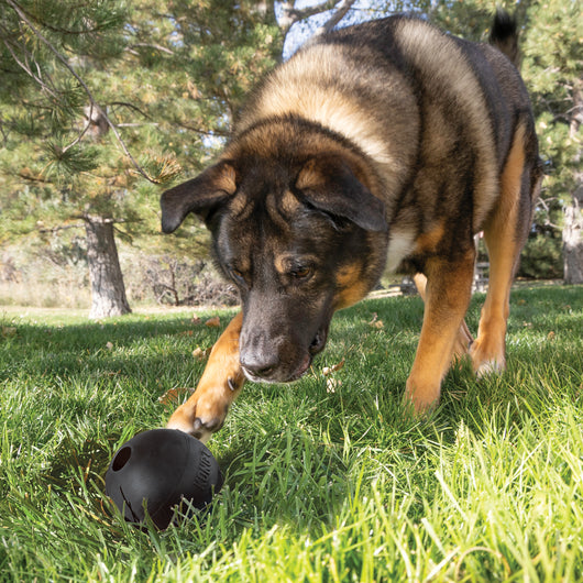 KONG Extreme Ball w/Hole Lg EU — lifestyle