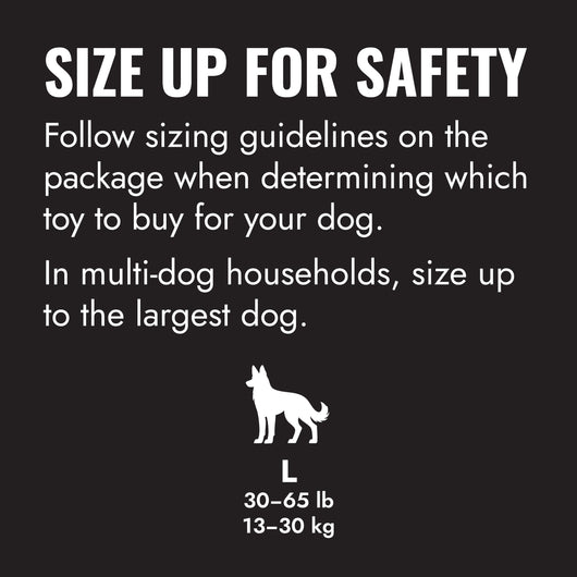 KONG Flyer Extreme Large Black — size up for safety