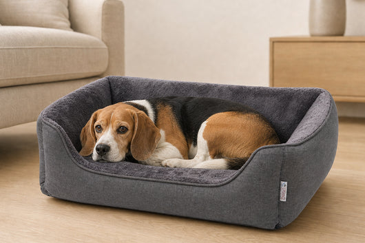 Gor Pets Ultima Bed Large Grey