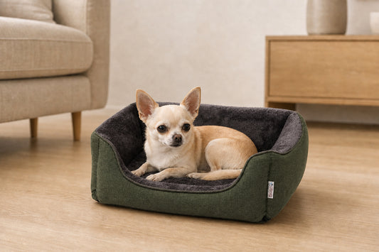 Gor Pets Ultima Bed Small Green Ultima Bed Small Green