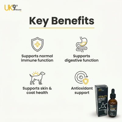 UK9 Vitality Boost — Daily Mushroom + Turmeric Drops (60ml) UK9 Petcare