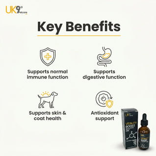 UK9 Vitality Boost — Daily Mushroom + Turmeric Drops (60ml)