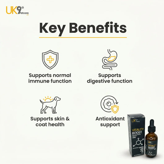 UK9 Vitality Boost — Daily Mushroom + Turmeric Drops (60ml) UK9 Petcare