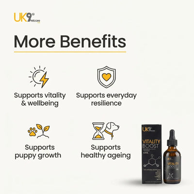 UK9 Vitality Boost — Daily Mushroom + Turmeric Drops (60ml) UK9 Petcare