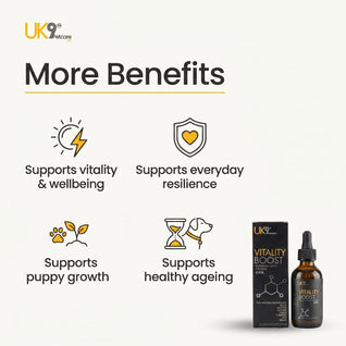 UK9 Vitality Boost — Daily Mushroom + Turmeric Drops (60ml)