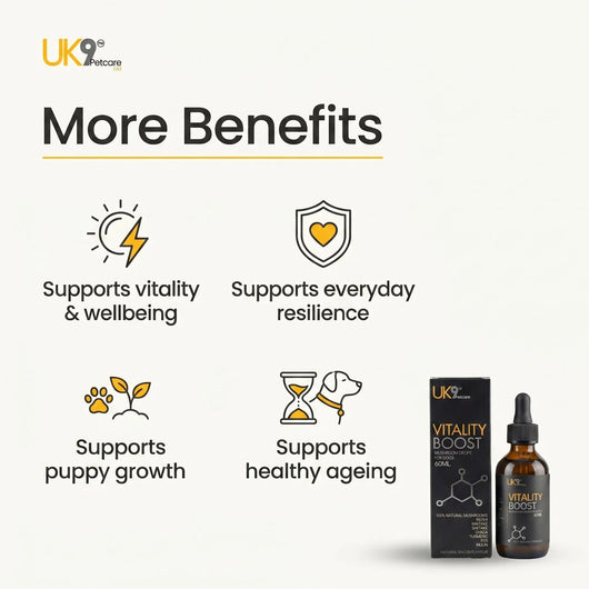 UK9 Vitality Boost — Daily Mushroom + Turmeric Drops (60ml) UK9 Petcare