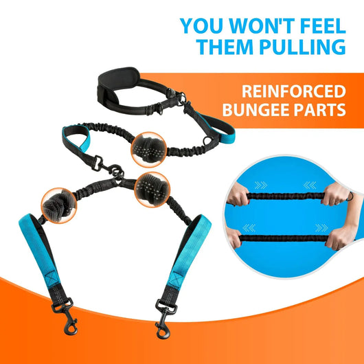Dual Retractable Dog Lead (Two Dogs) Teamdrop