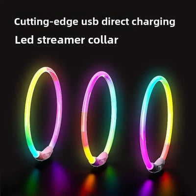 LED Glowing Dog Collar Teamdrop