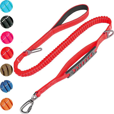 Elastic Dog Leash with Car Safety Clip Teamdrop