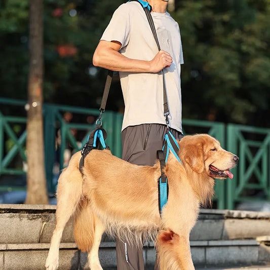 Dog Rehabilitation Support Harness Teamdrop
