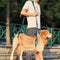 Dog Rehabilitation Support Harness