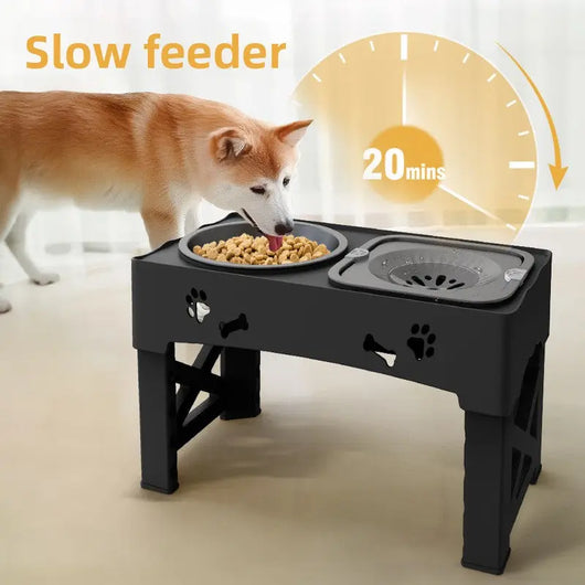 Adjustable Raised Dog Bowl Stand Teamdrop