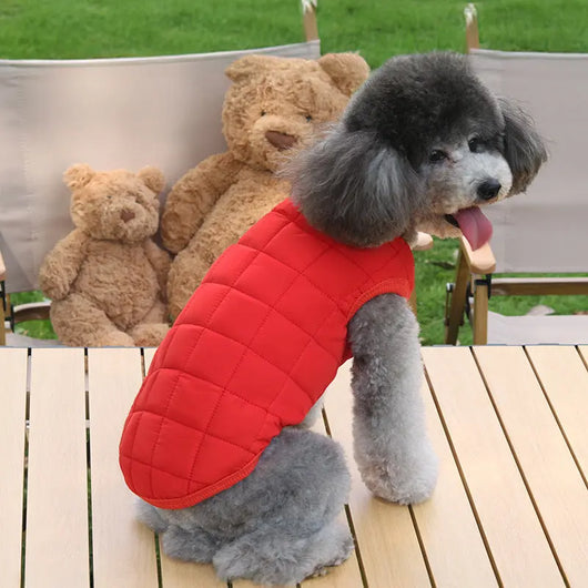 Small Dog Cotton Winter Coat Teamdrop