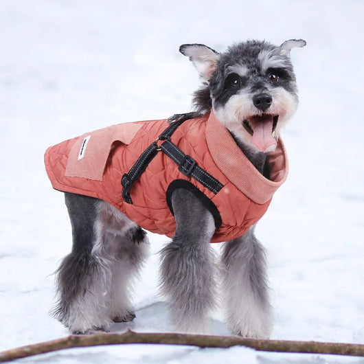 Waterproof Dog Coat Teamdrop