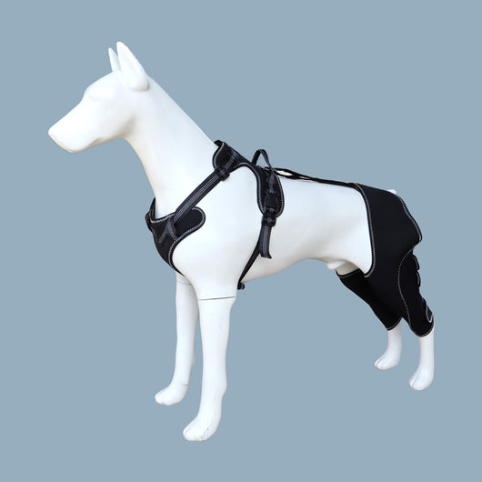 Adjustable Pet Leg Support Guard Teamdrop