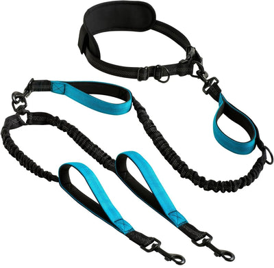 Dual Retractable Dog Lead (Two Dogs) Teamdrop