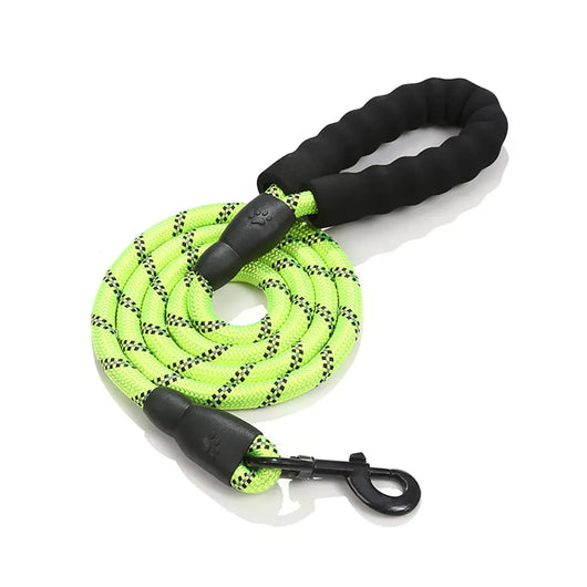 Reflective Nylon Dog Lead Teamdrop