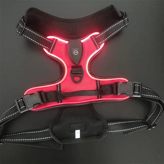 LED Light-Up Dog Harness Teamdrop