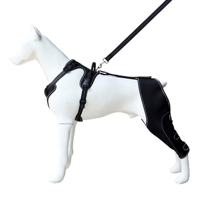 Adjustable Pet Leg Support Guard Teamdrop