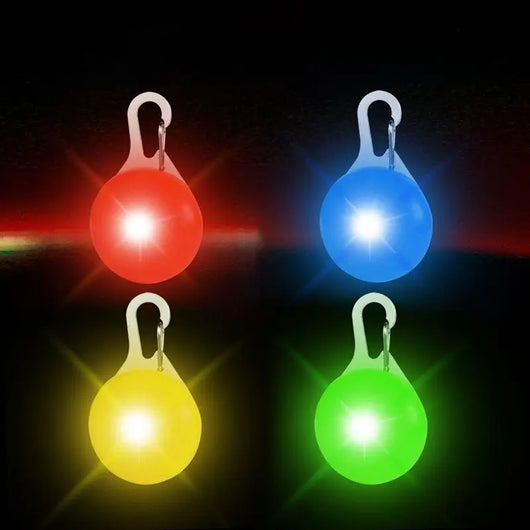LED Glowing Dog Collar Teamdrop