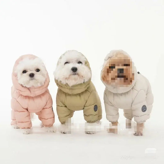 Small Dog Winter Jacket (4-Leg Coverage) Teamdrop