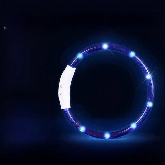 LED Glowing Dog Collar Teamdrop
