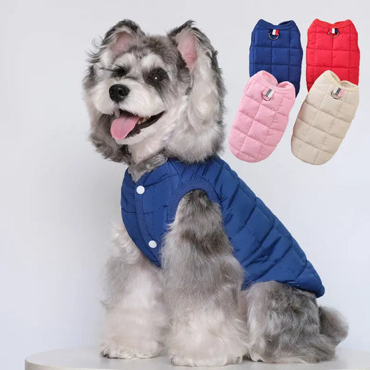Small Dog Cotton Winter Coat Teamdrop