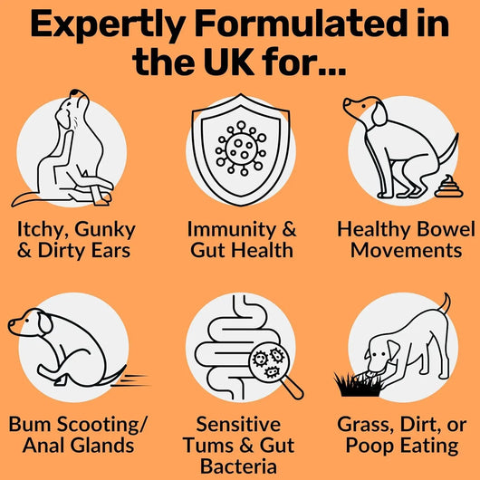 Dog Digestive Health Chewable Tablets Teamdrop